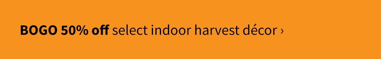 Bogo 50% off select indoor harvest decor>