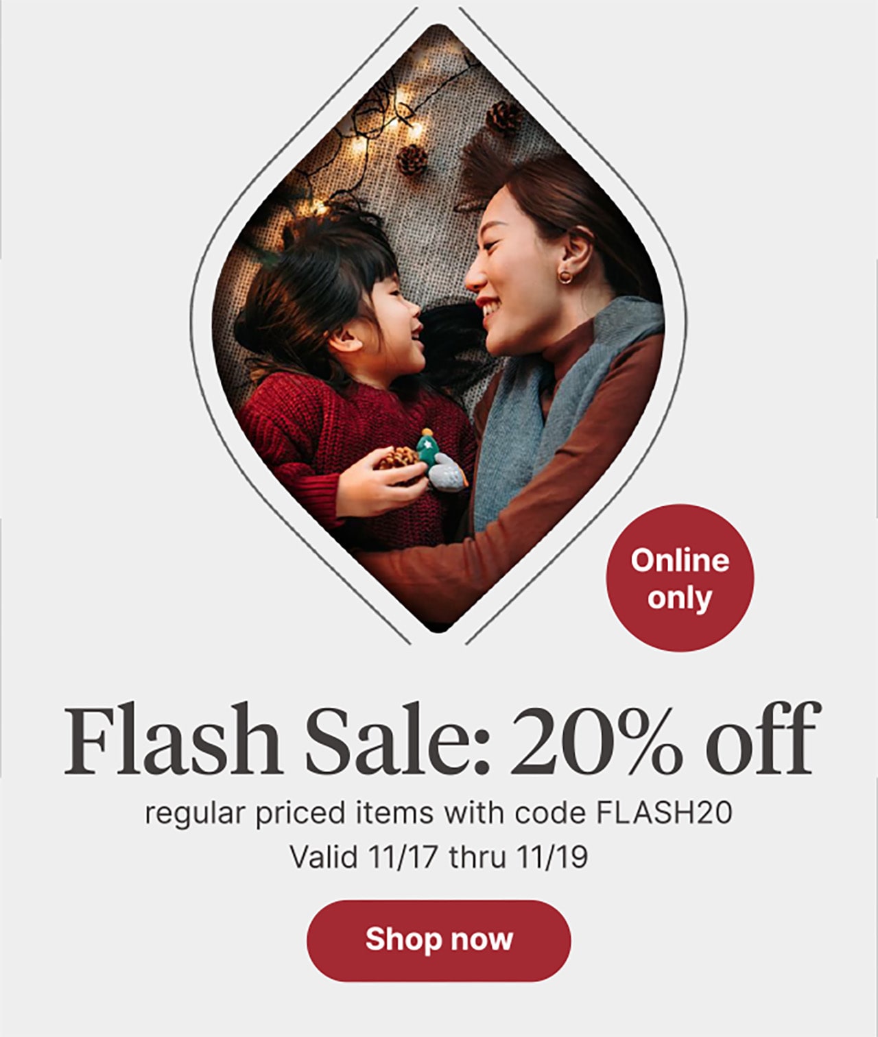 Flash Sale: 20% off