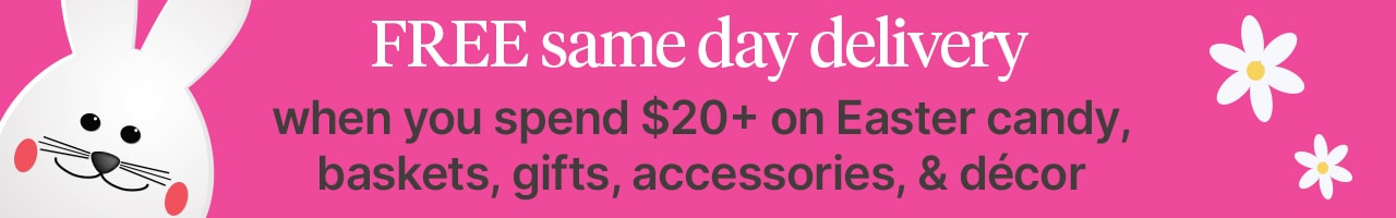 Free same day delivery