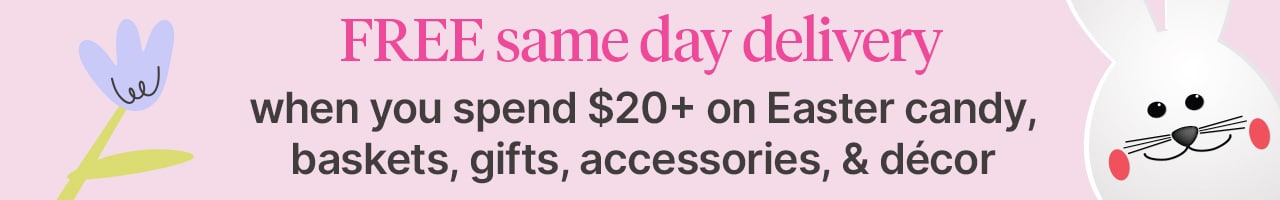 Free same day delivery