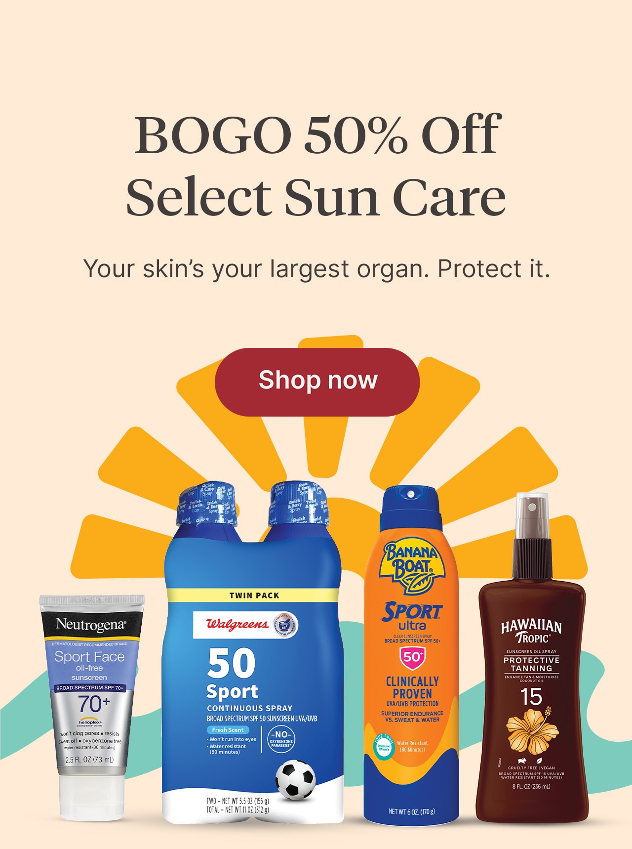 p01-BOGO50offSunCare