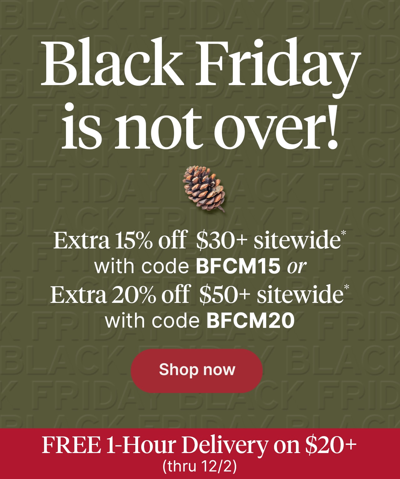 Black Friday is not over!